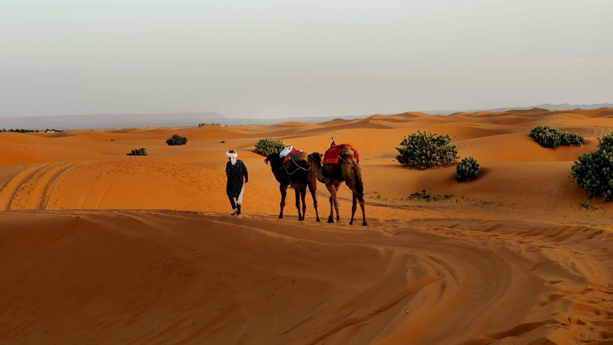 Camp Familia Erg Chebbi Hotel Мерцуга Екстериор снимка
